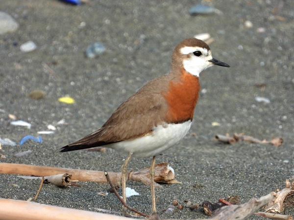 Foto - Bu kareler kartpostalları aratmıyor