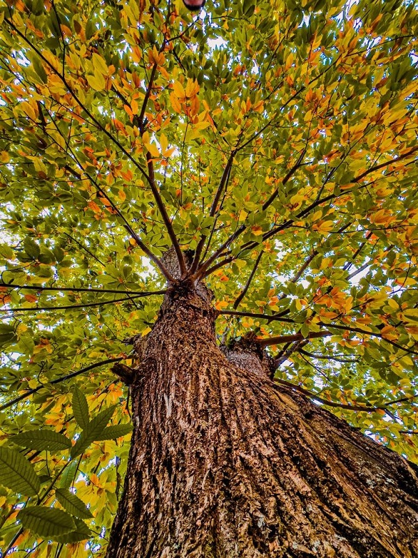 Foto - Bu kareler mest ediyor