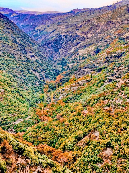 Foto - Bu kareler mest ediyor