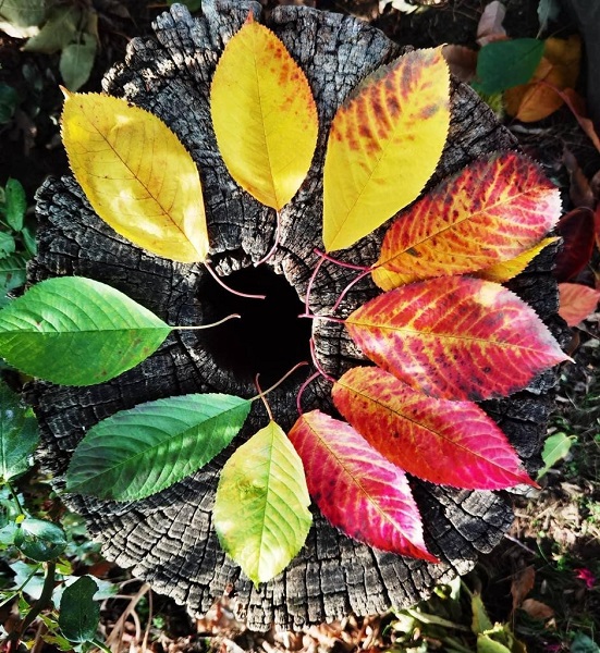 Foto - Bu kareler mest ediyor