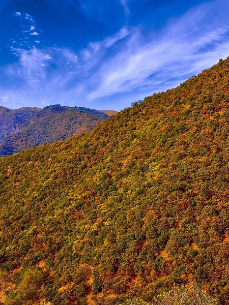 Foto - Bu kareler mest ediyor