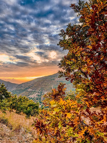 Foto - Bu kareler mest ediyor