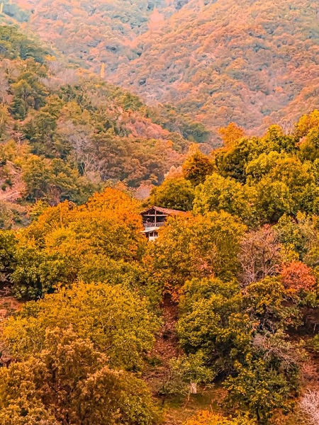 Foto - Bu kareler mest ediyor