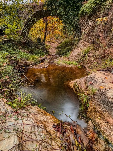Foto - Bu kareler mest ediyor