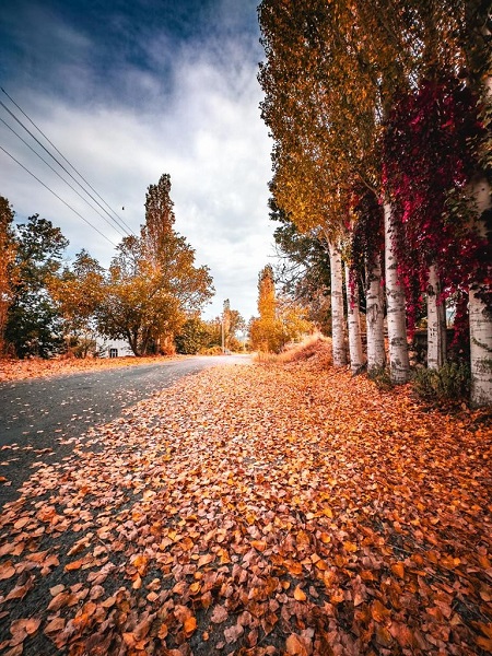 Foto - Bu kareler mest ediyor