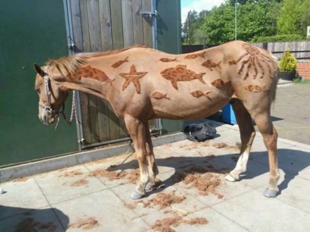 Foto - Bu kareler photoshop değil!