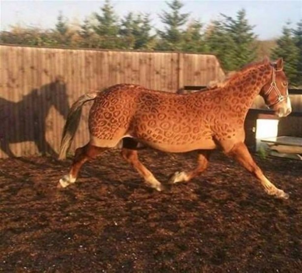 Foto - Bu kareler photoshop değil!