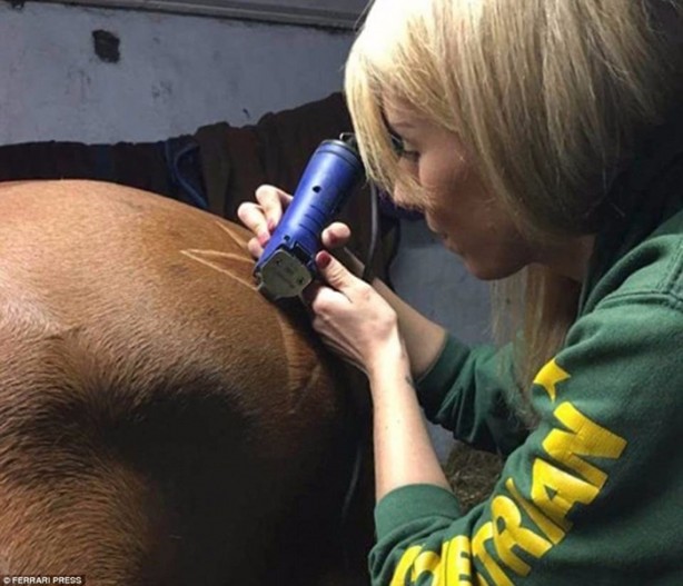 Foto - Bu kareler photoshop değil!