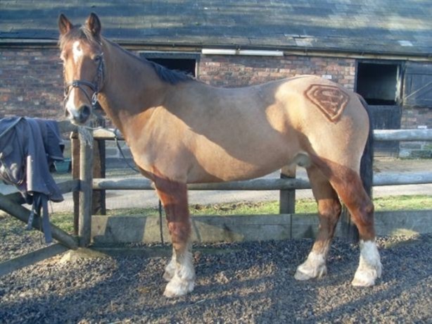 Foto - Bu kareler photoshop değil!