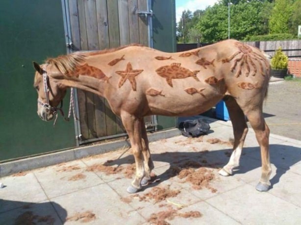 Foto - Bu kareler photoshop değil!