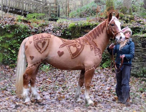 Foto - Bu kareler photoshop değil!