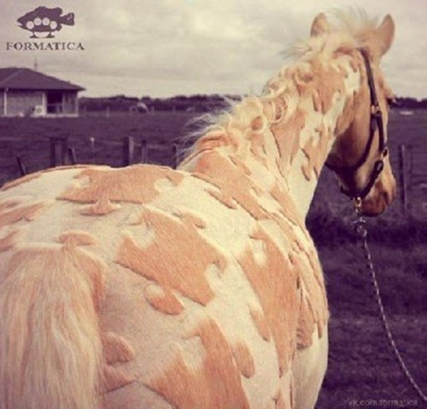 Foto - Bu kareler photoshop değil!