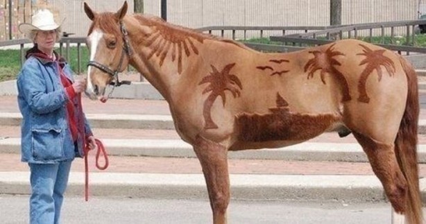 Foto - Bu kareler photoshop değil!