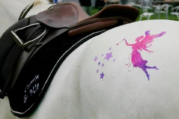 Foto - Bu kareler photoshop değil!