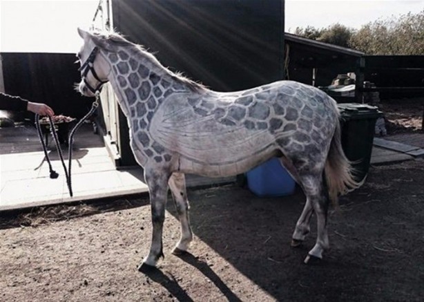 Foto - Bu kareler photoshop değil!