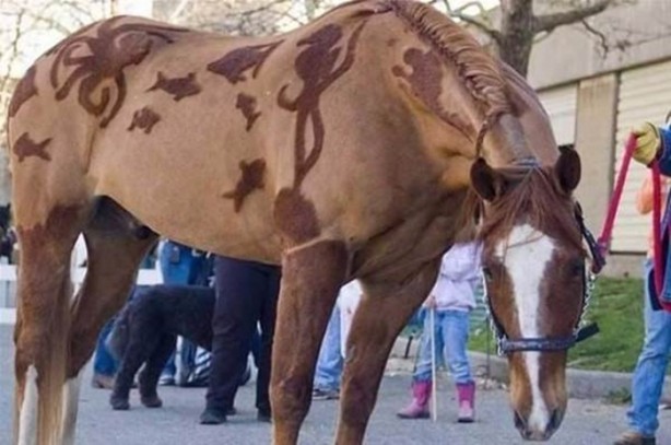 Foto - Bu kareler photoshop değil!