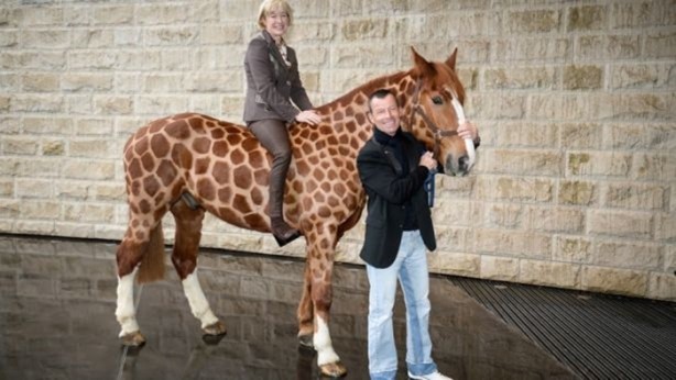 Foto - Bu kareler photoshop değil!