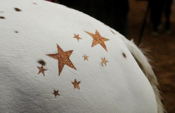 Foto - Bu kareler photoshop değil!