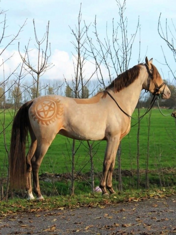 Foto - Bu kareler photoshop değil!