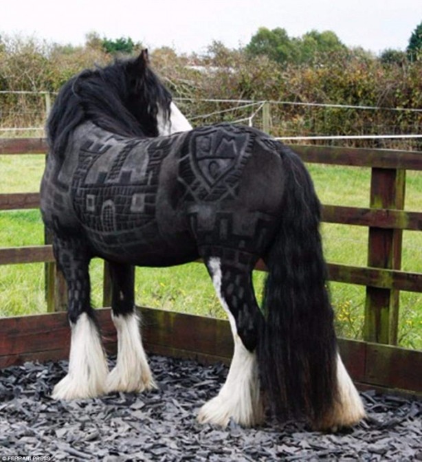  Bu kareler photoshop değil!