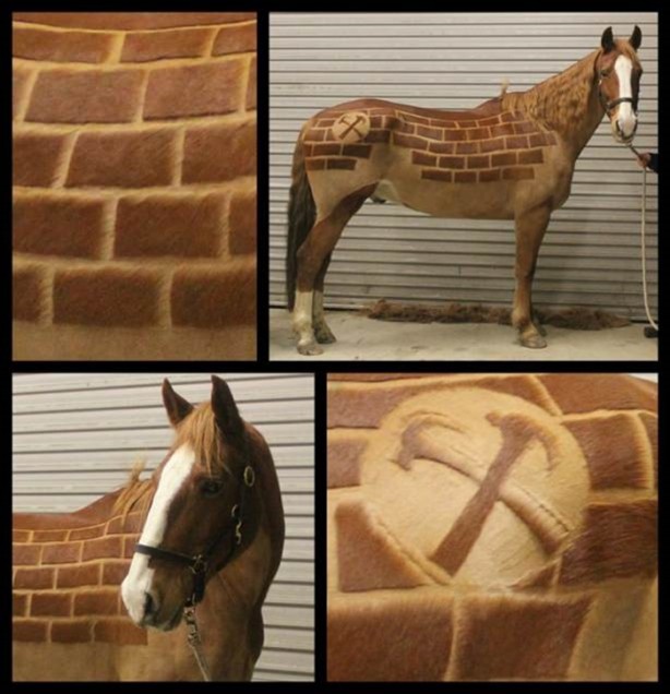 Foto - Bu kareler photoshop değil!