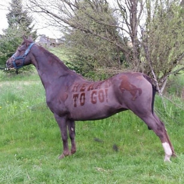 Foto - Bu kareler photoshop değil!