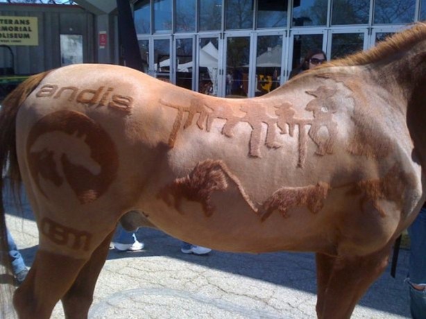 Foto - Bu kareler photoshop değil!