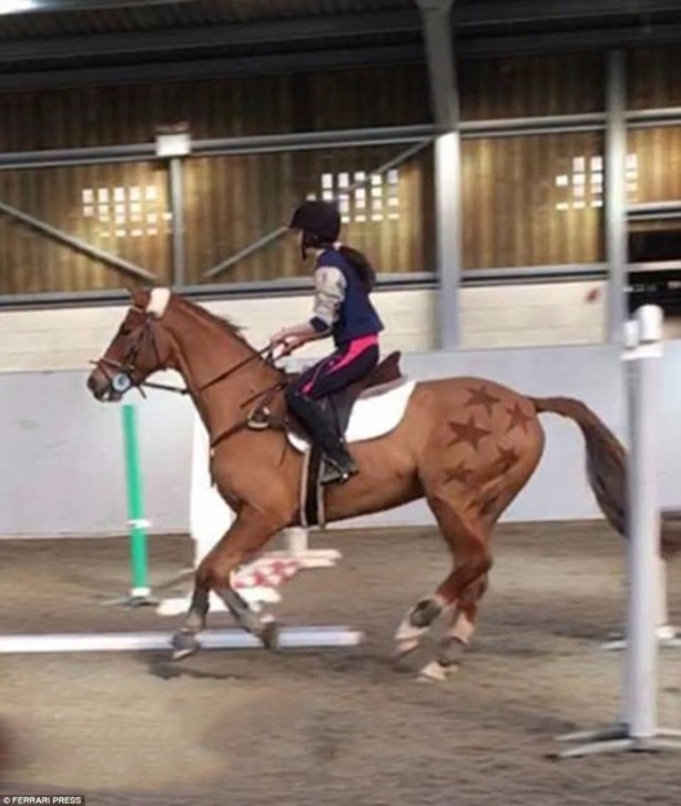 Foto - Bu kareler photoshop değil!