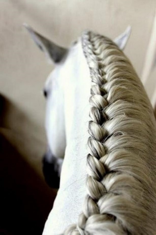 Foto - Bu kareler photoshop değil!