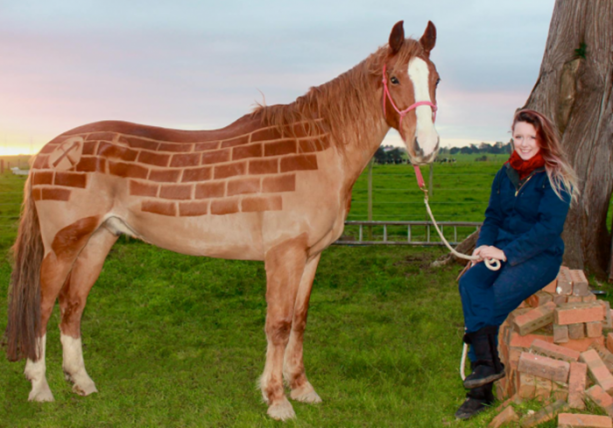 Foto - Bu kareler photoshop değil!