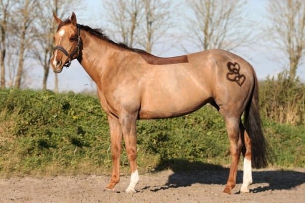 Foto - Bu kareler photoshop değil!