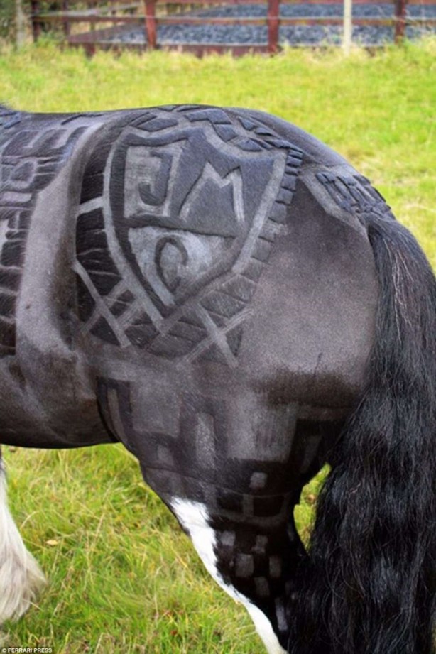 Foto - Bu kareler photoshop değil!