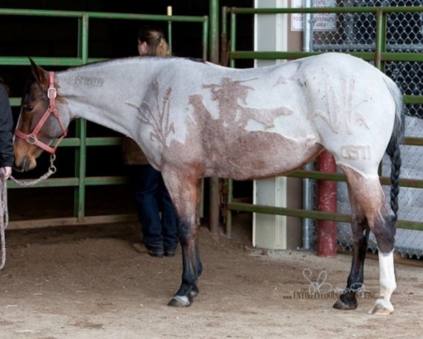 Foto - Bu kareler photoshop değil!