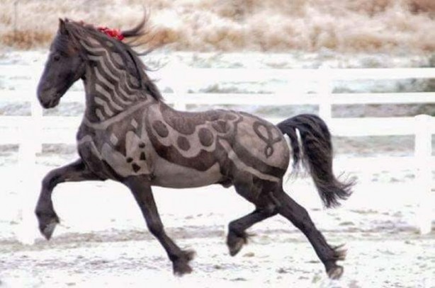 Foto - Bu kareler photoshop değil!