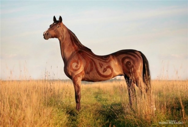 Foto - Bu kareler photoshop değil!