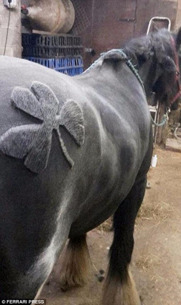 Foto - Bu kareler photoshop değil!