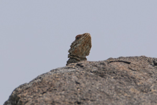 Foto - Bu kareler Türkiye’de çekildi! 