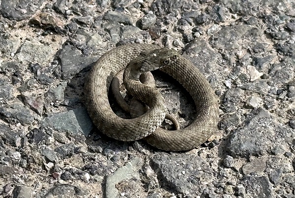 Foto - Bu kareler Türkiye’de çekildi! 