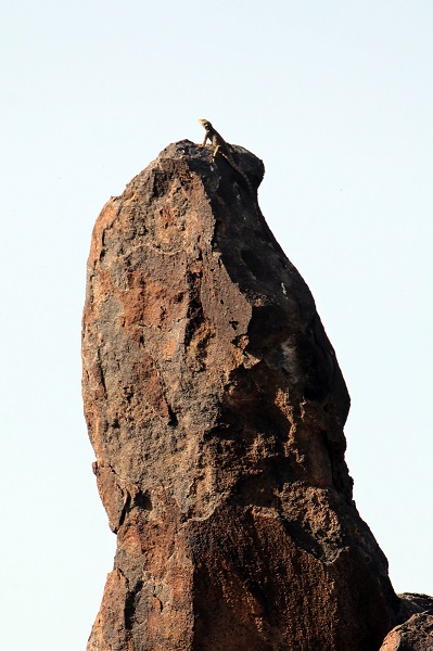 Foto - Bu kareler Türkiye’de çekildi! 