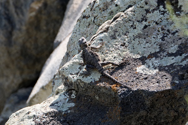 Foto - Bu kareler Türkiye’de çekildi! 