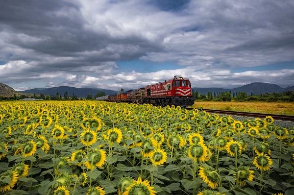 Bu karelere herkes hayran kalıyor