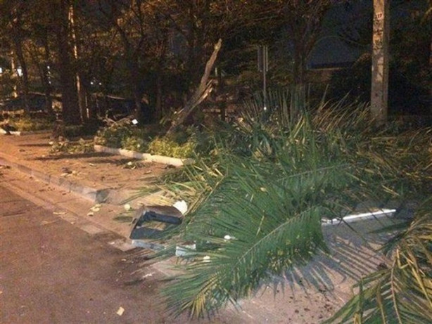 Foto - Bu kazalar içinizi acıtacak!