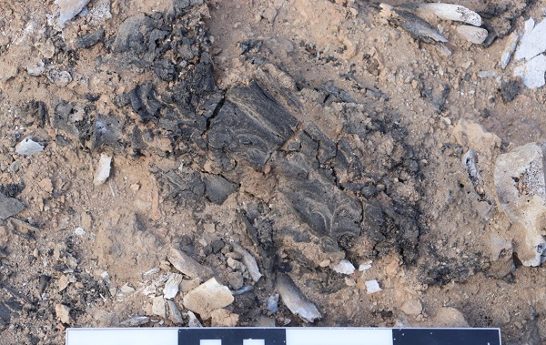 Foto - Bu keşif çok konuşulur! Bakın "Kütahya'nın kalbi"nde ne bulundu