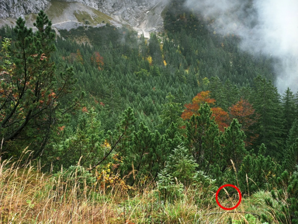 Foto - Bu keskin nişancıları görmek imkansız!