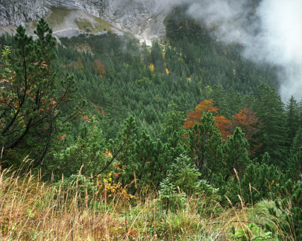 Foto - Bu keskin nişancıları görmek imkansız!