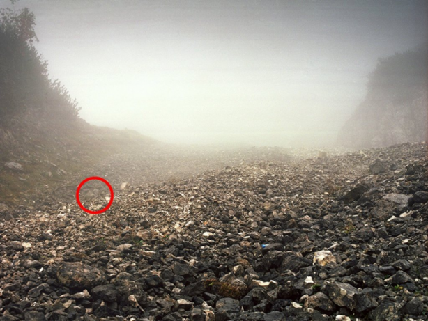 Foto - Bu keskin nişancıları görmek imkansız!