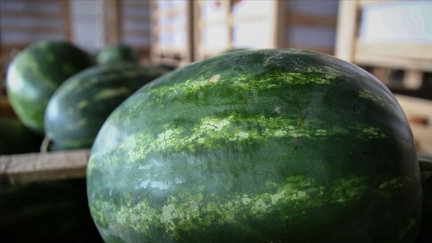 Foto - Bu kez karpuzu yapay zeka seçti! Sonuç gerçekten şaşırtıcı