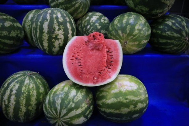 Foto - Bu kez karpuzu yapay zeka seçti! Sonuç gerçekten şaşırtıcı