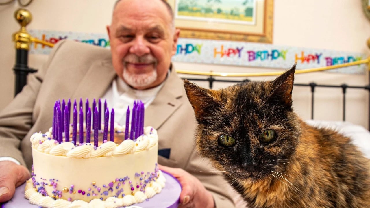 Bu kez keşif yolculuğunda 31 yaşına basan kedi var! Gündeme oturdu: Sadece 3 gıdayla besleniyor