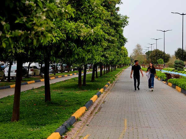 Foto - Bu koku için Adana'ya gidilir